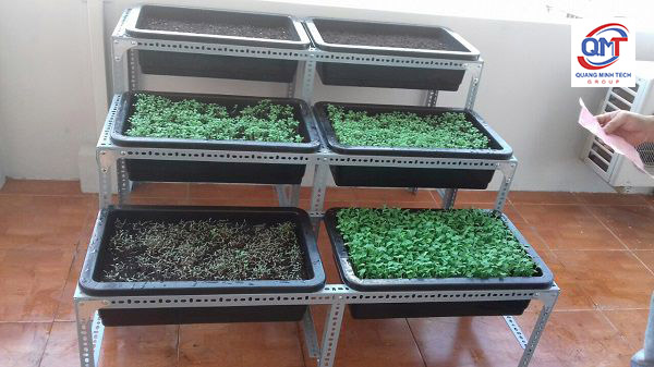 Chuẩn bị vật dụng làm kệ trồng rau bằng sắt lỗ V